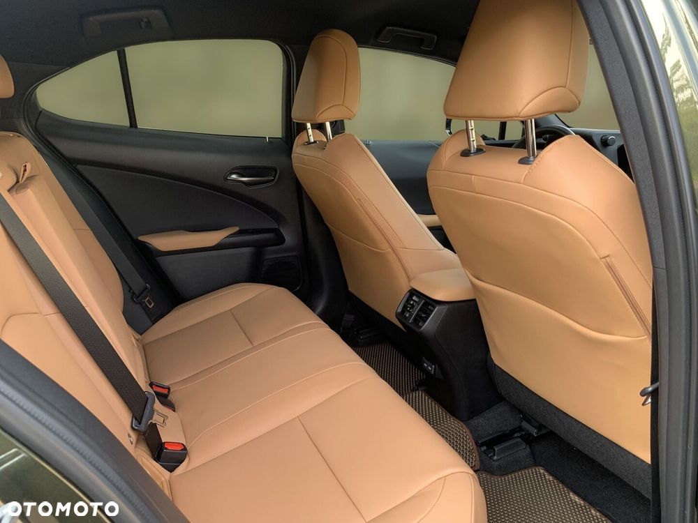 Lexus UX 250h GPF F Sport Design 2WD - 11