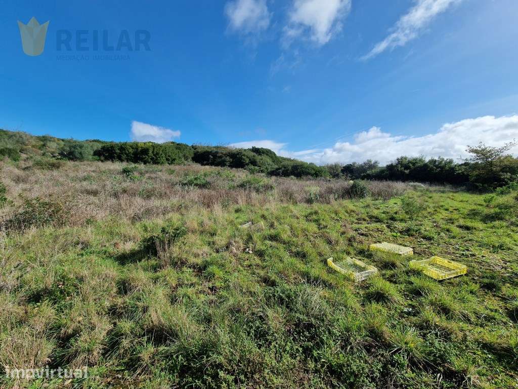 São João dos Montes - Terreno 5.640 m2 - Grande imagem: 4/9
