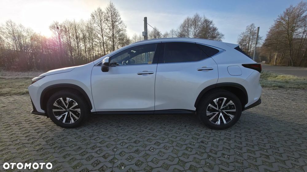 Lexus NX 350h Prestige AWD - 16
