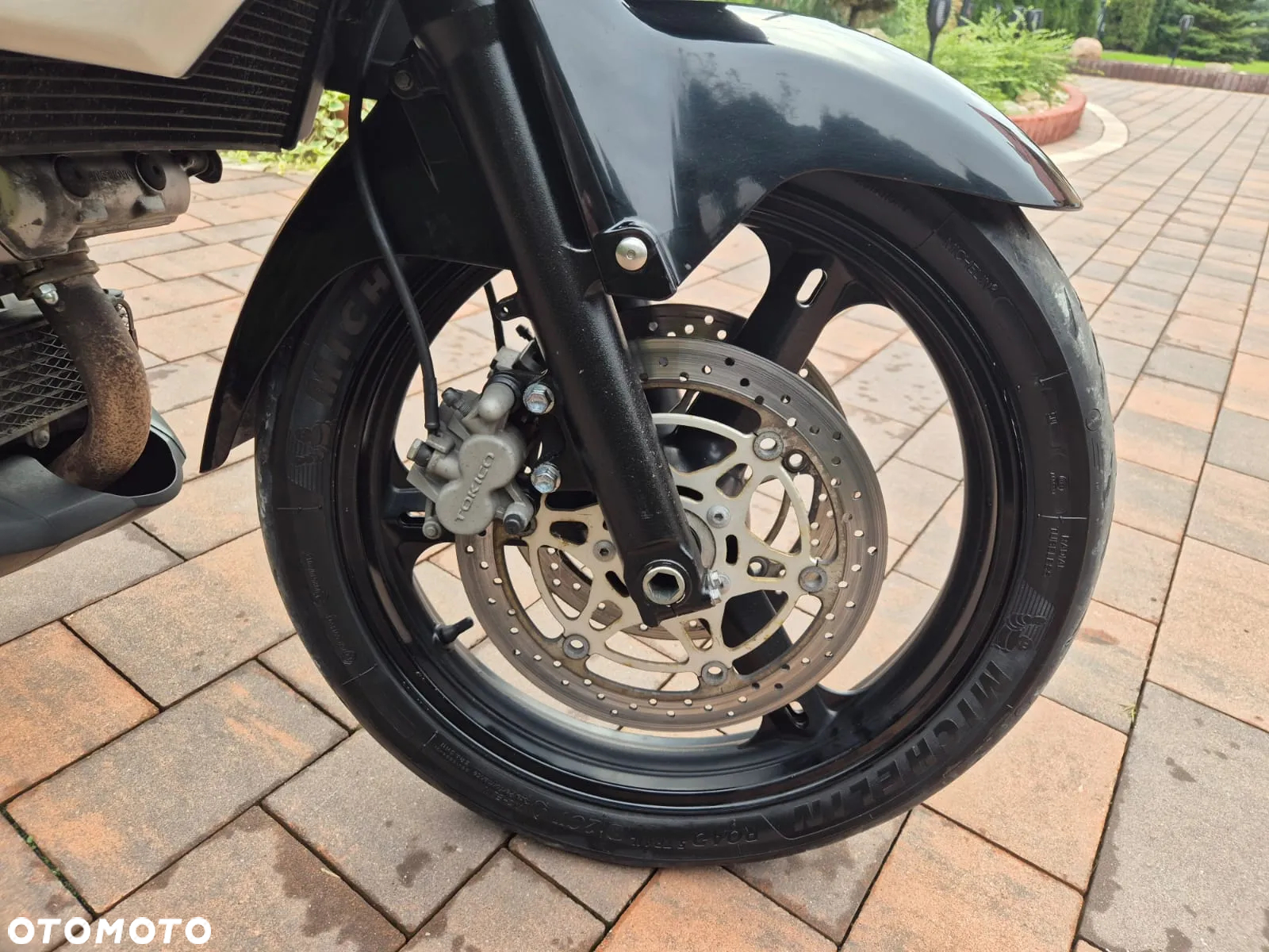 Suzuki V-STROM - 17
