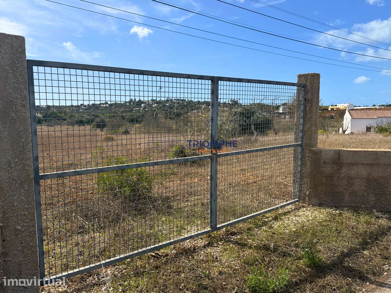 Terreno rústico 35 000 m² em Carvoeiro - Grande imagem: 2/9