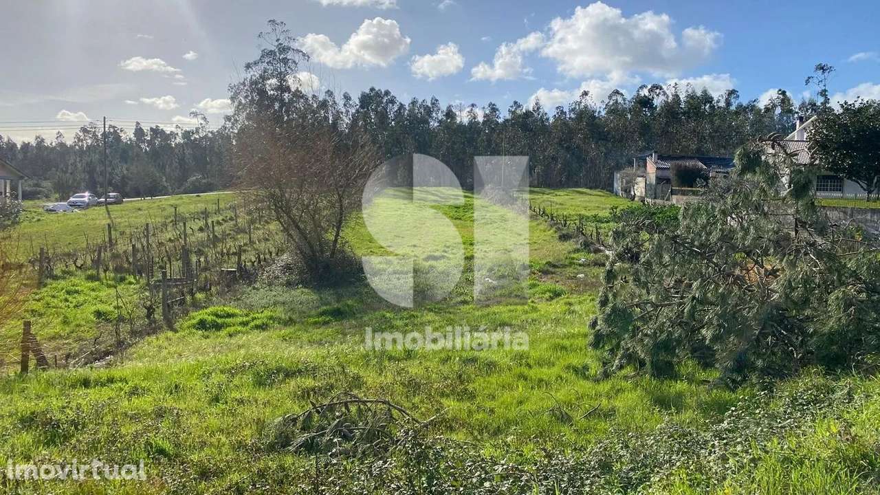 Terreno para construção | Pombal - Grande imagem: 2/9