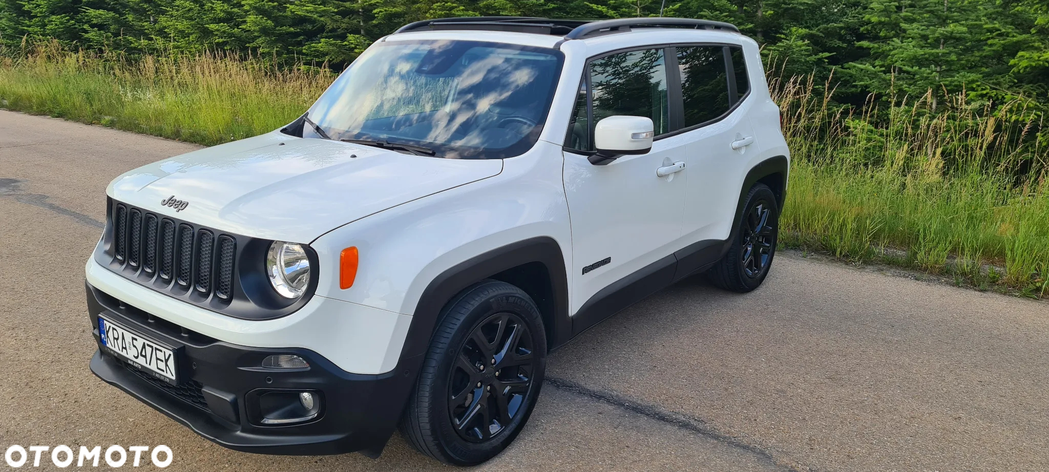 Jeep Renegade 1.4 MultiAir Limited FWD S&S - 2