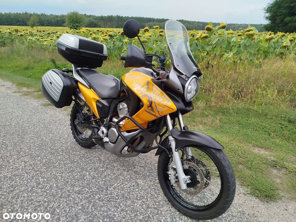 Honda Transalp - 4