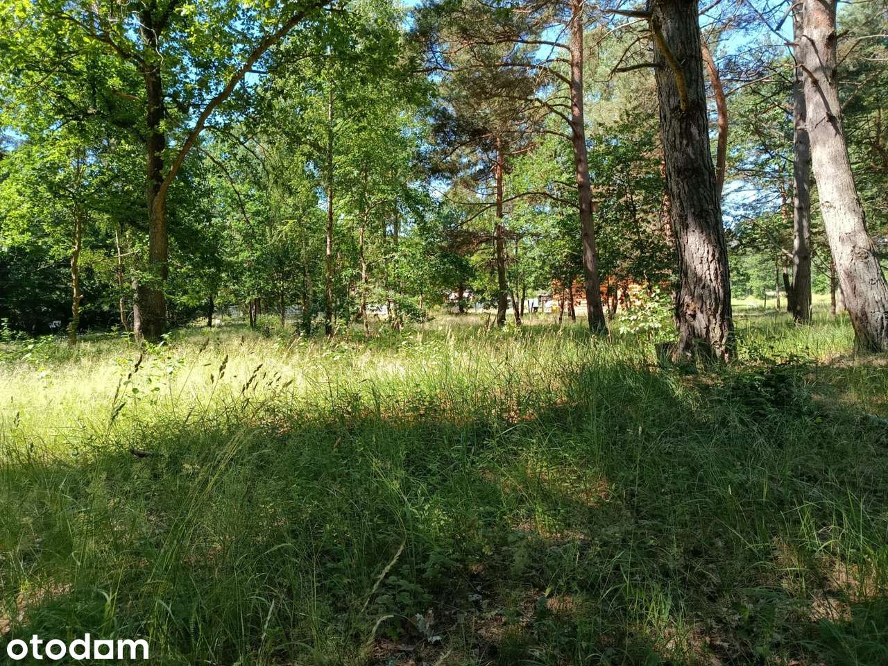 Działka, 861 m², Redliny - Pełny obrazek: 5/7