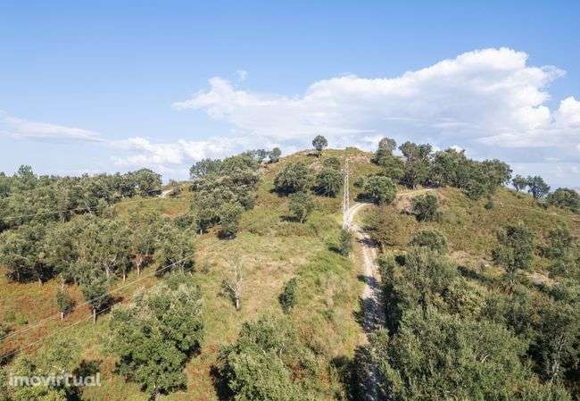 Terreno - Adaúfe, Braga - Grande imagem: 3/10