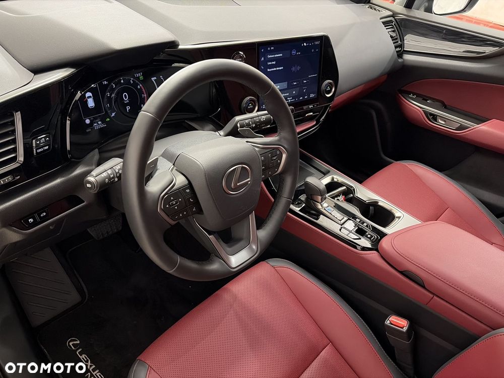 Lexus NX - 10
