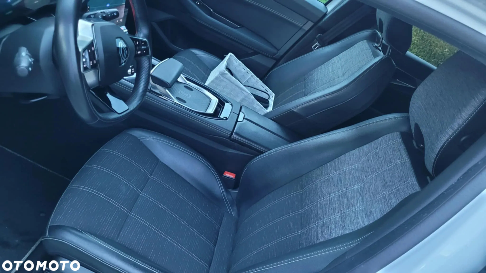 Renault Austral - 10