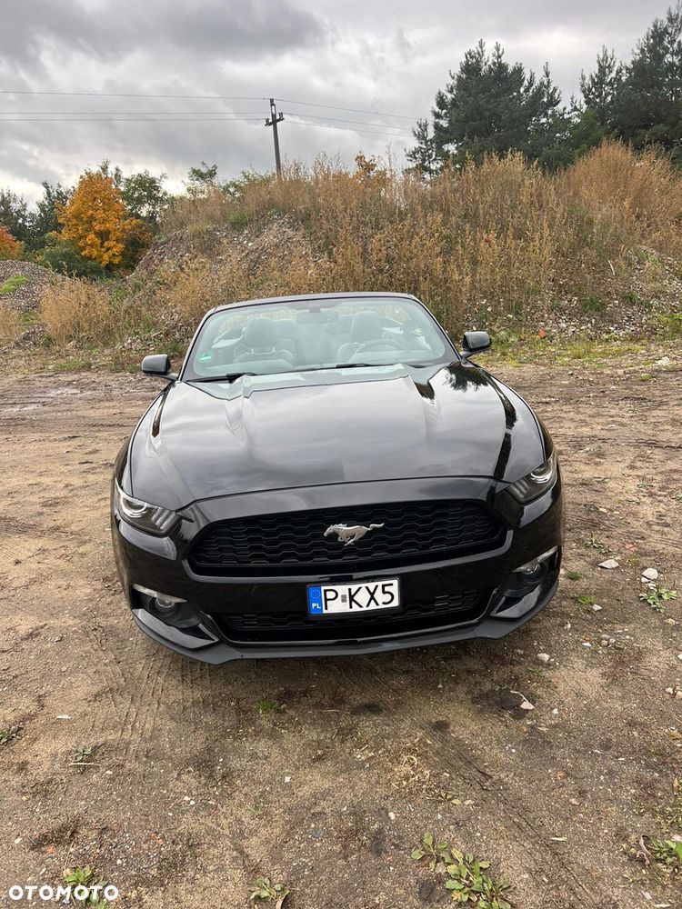 Ford Mustang 5.0 Ti-VCT V8 Black Shadow Edition - 3