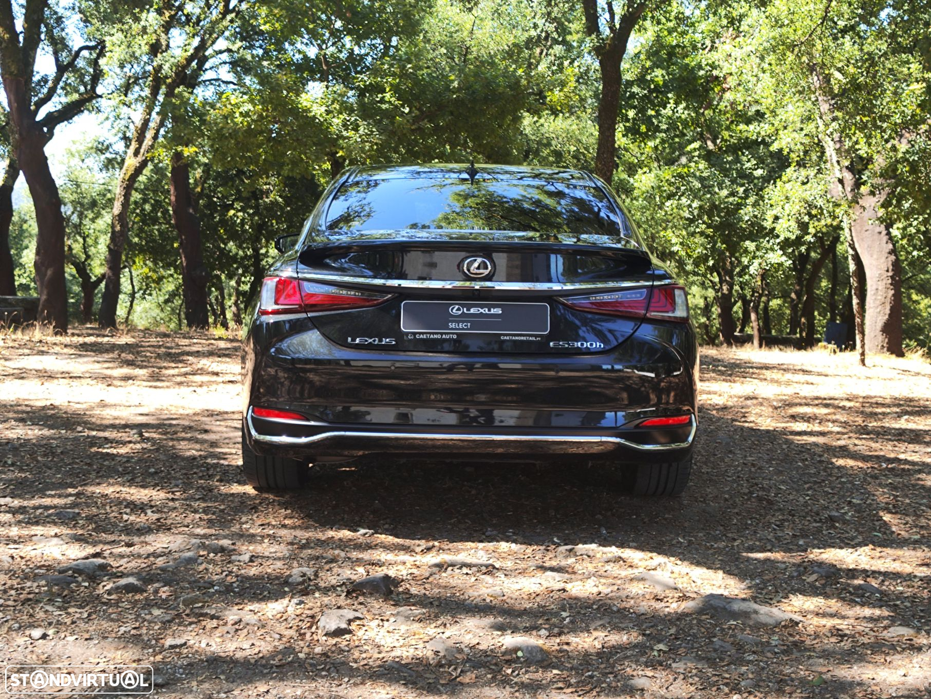 Lexus ES 300h Special Edition - 6