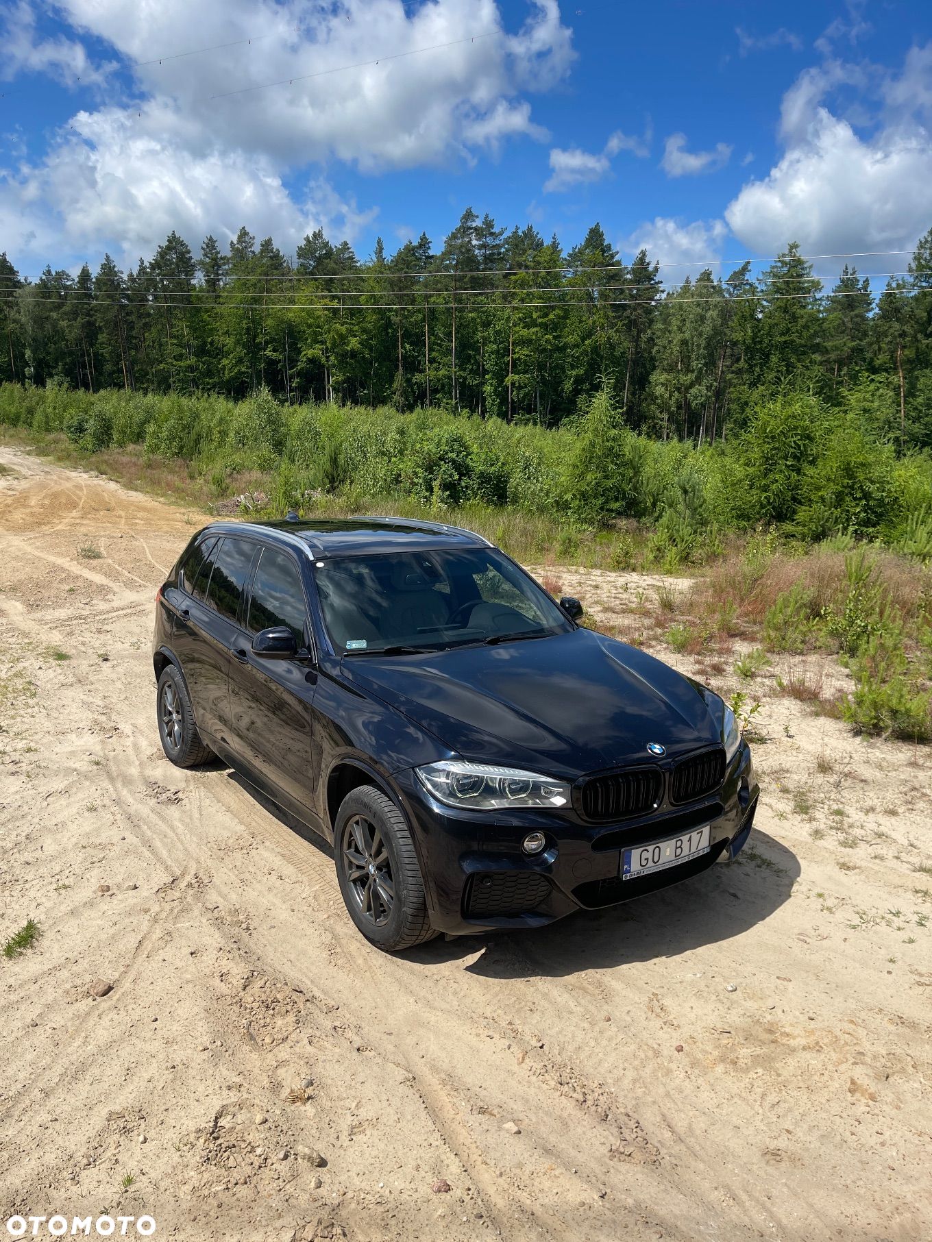 BMW X5 xDrive40d - 1