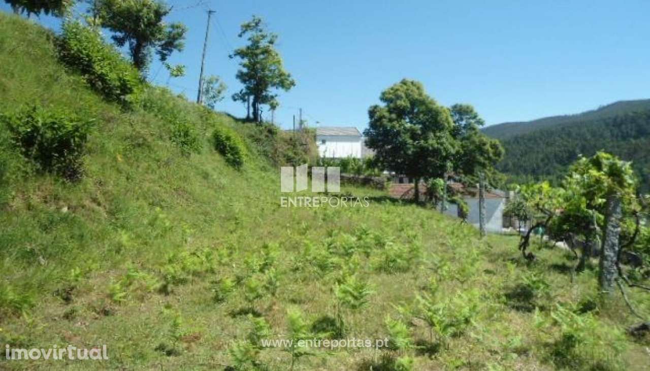 Venda Terreno, Nespereira, Cinfães - Grande imagem: 2/8