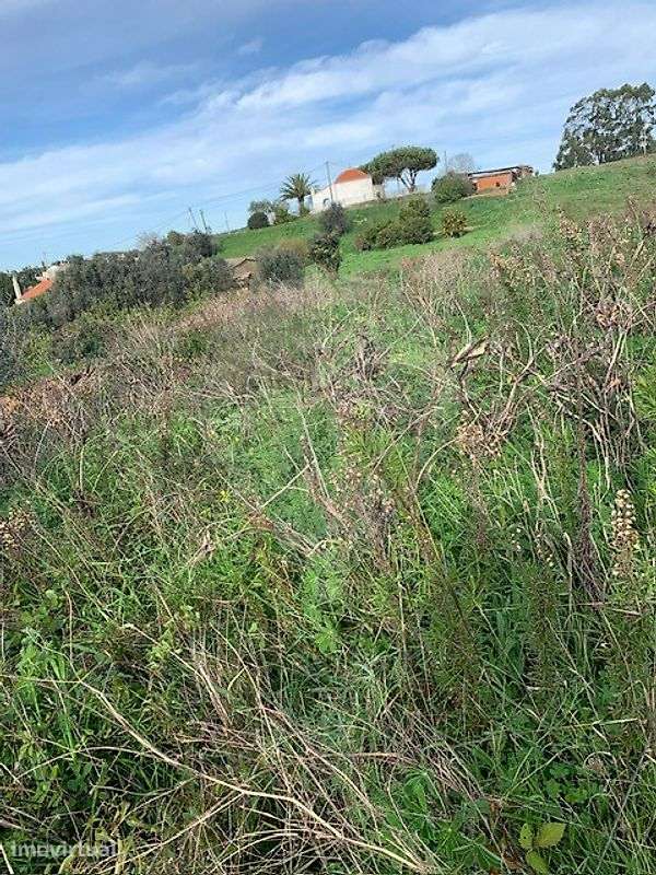Terreno  para venda - Grande imagem: 5/5