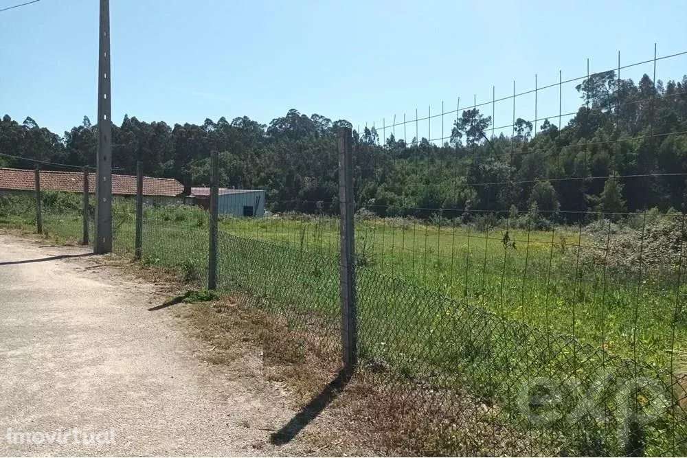 Terreno Rústico em Anta - Grande imagem: 2/5