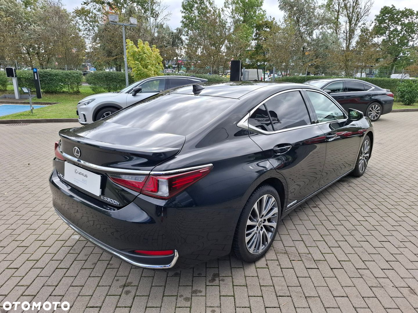 Lexus ES 300h Elegance - 5