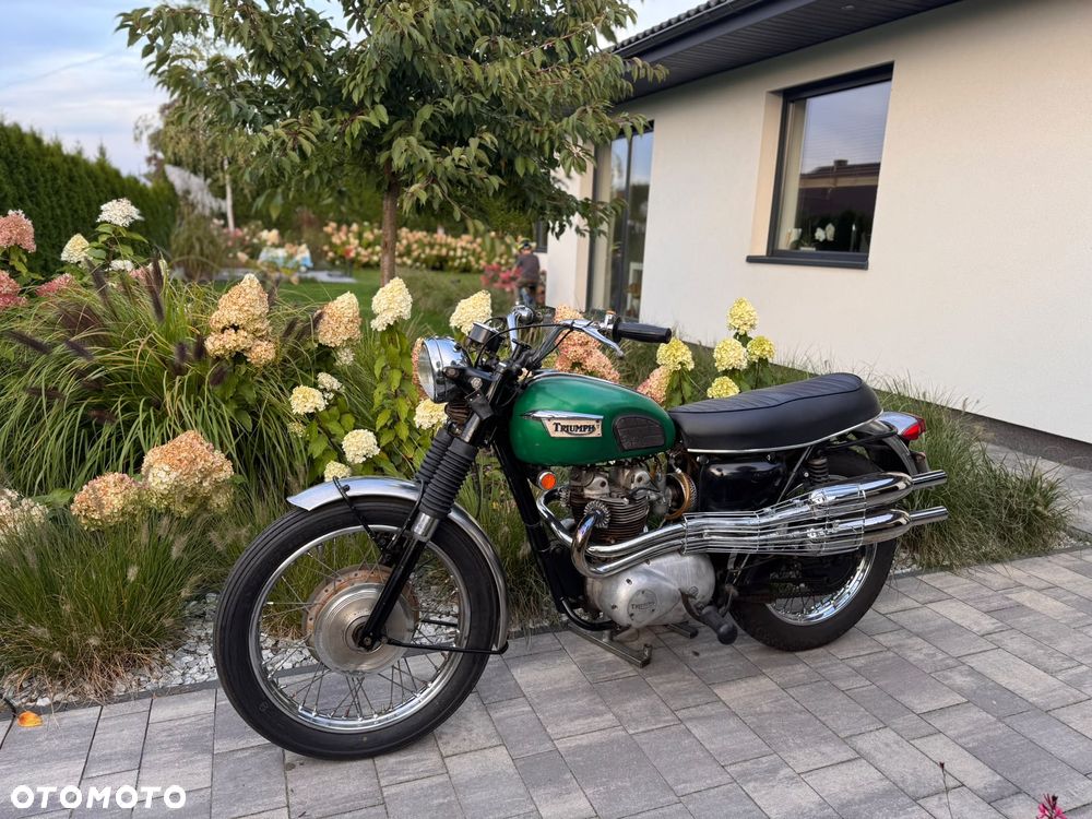 Triumph Trophy - 4