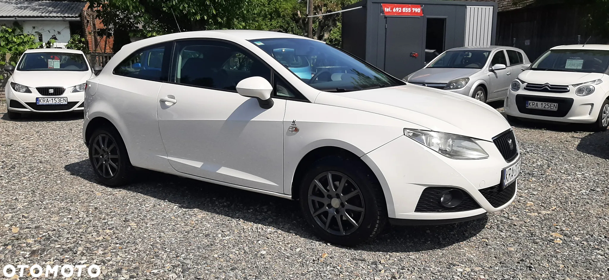 Seat Ibiza - 30