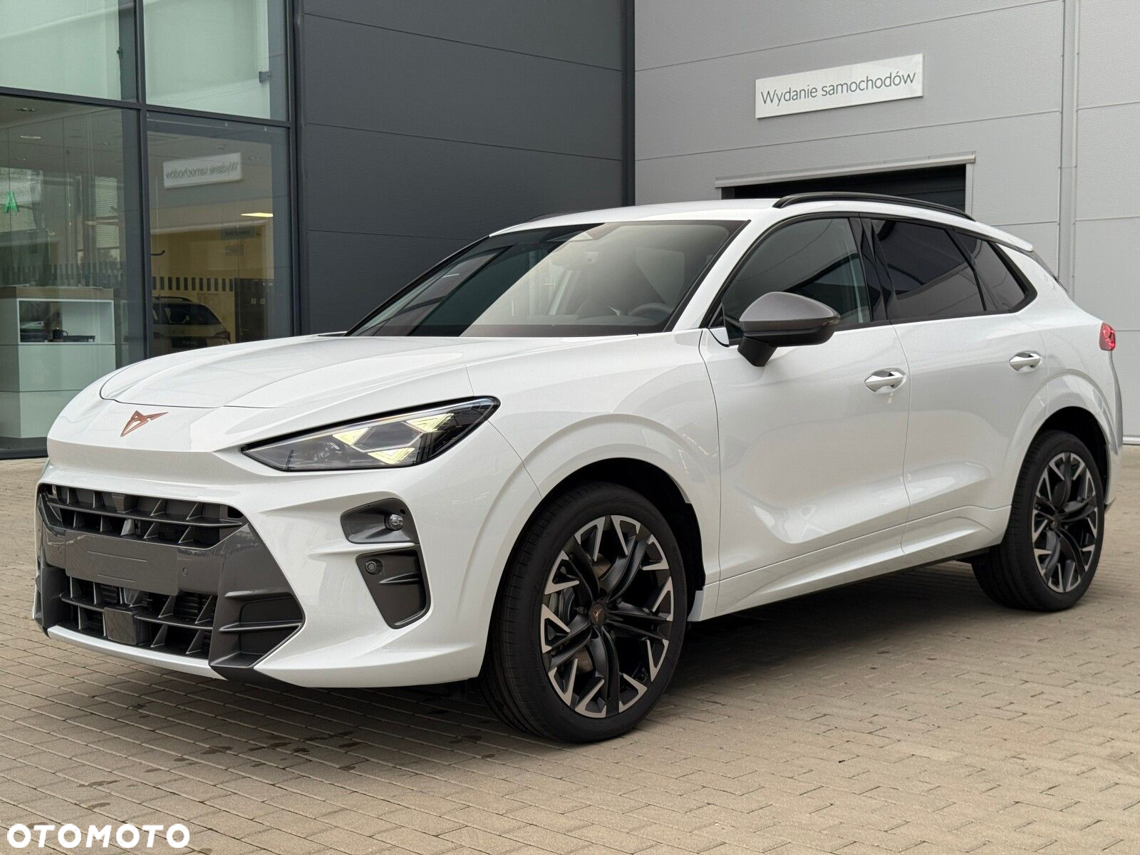 Cupra Terramar 2.0 TSI 4Drive Advantage Edition DSG - 3