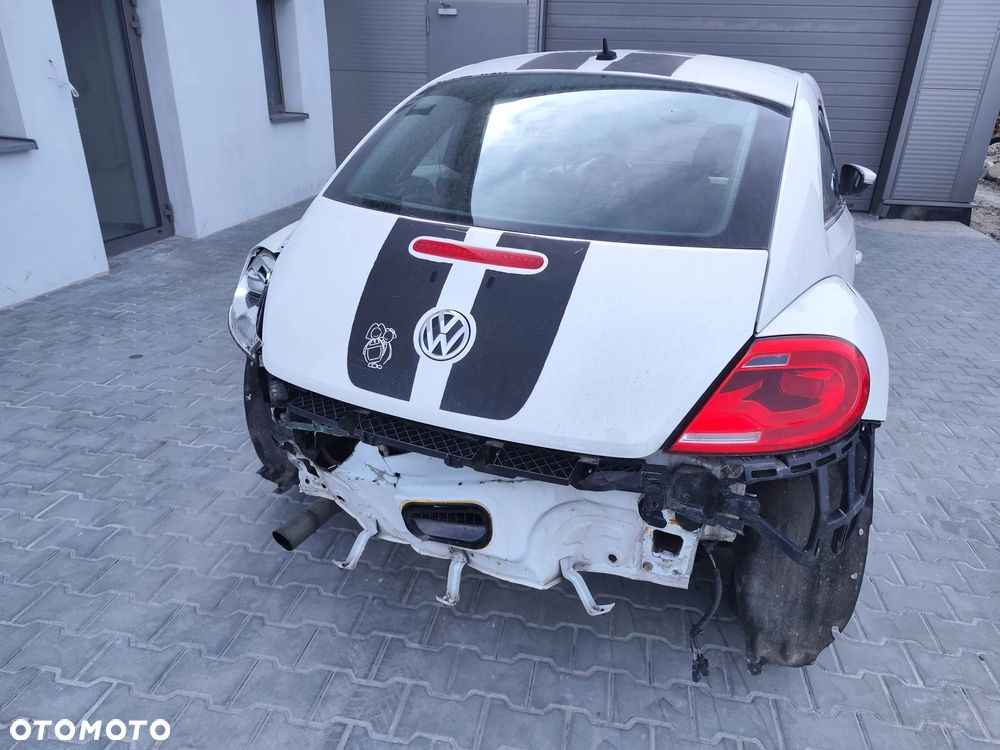 Volkswagen Beetle - 10