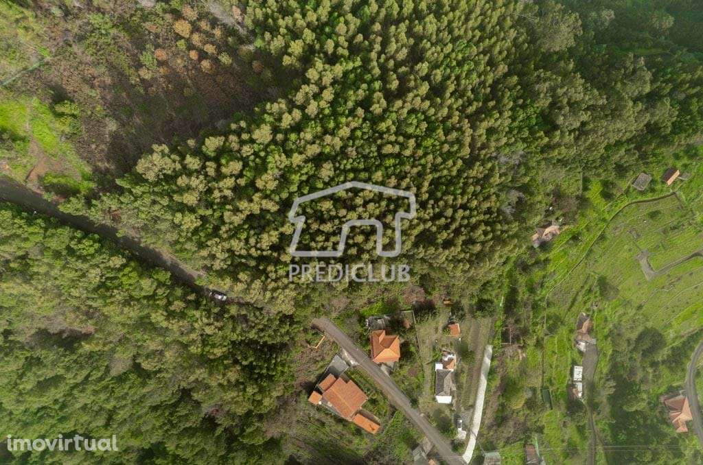 Terreno - Sta Cruz - Grande imagem: 2/9