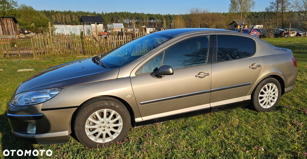 Peugeot 407 - 5