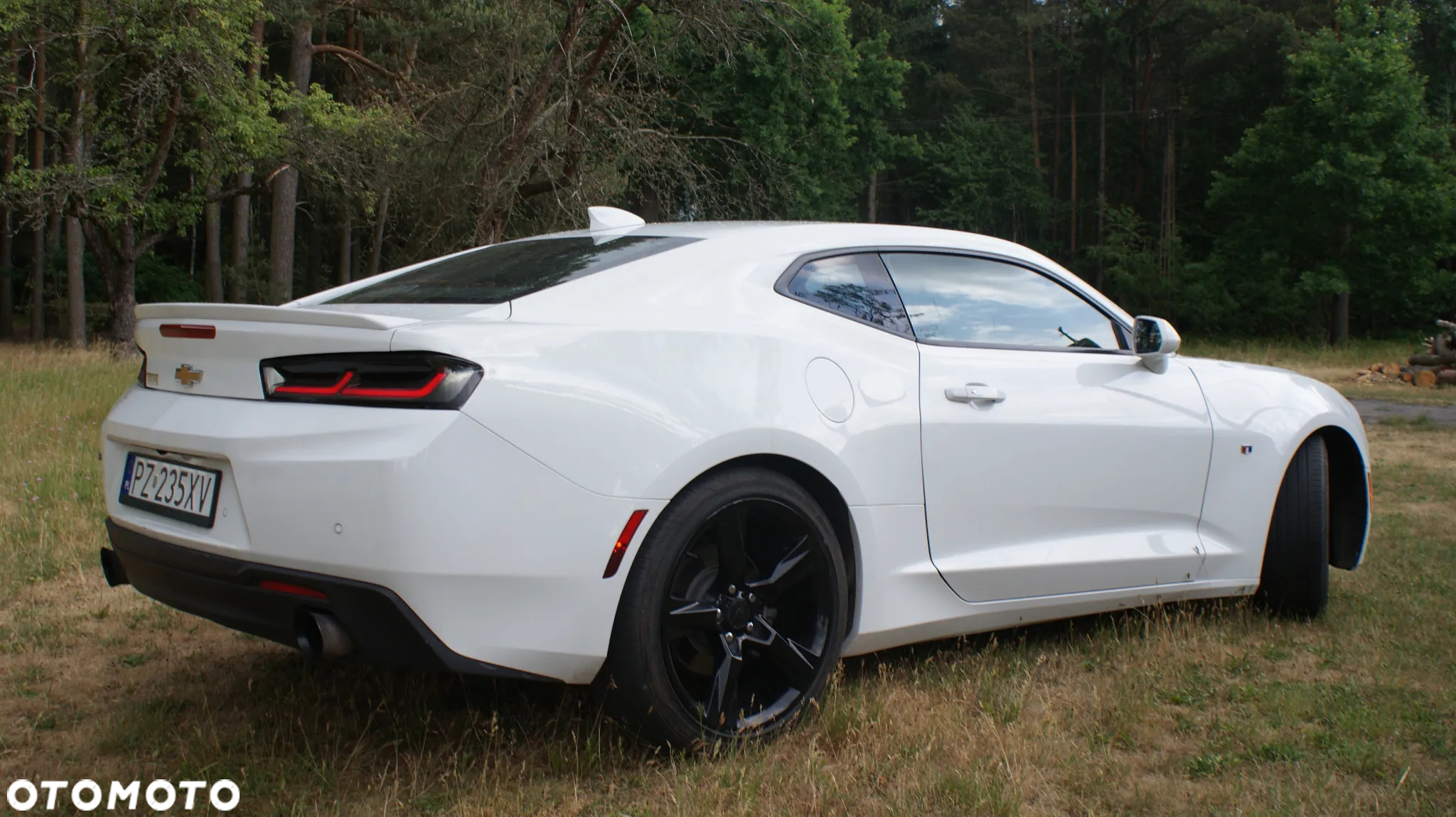Chevrolet Camaro Coupe 2.0 - 4