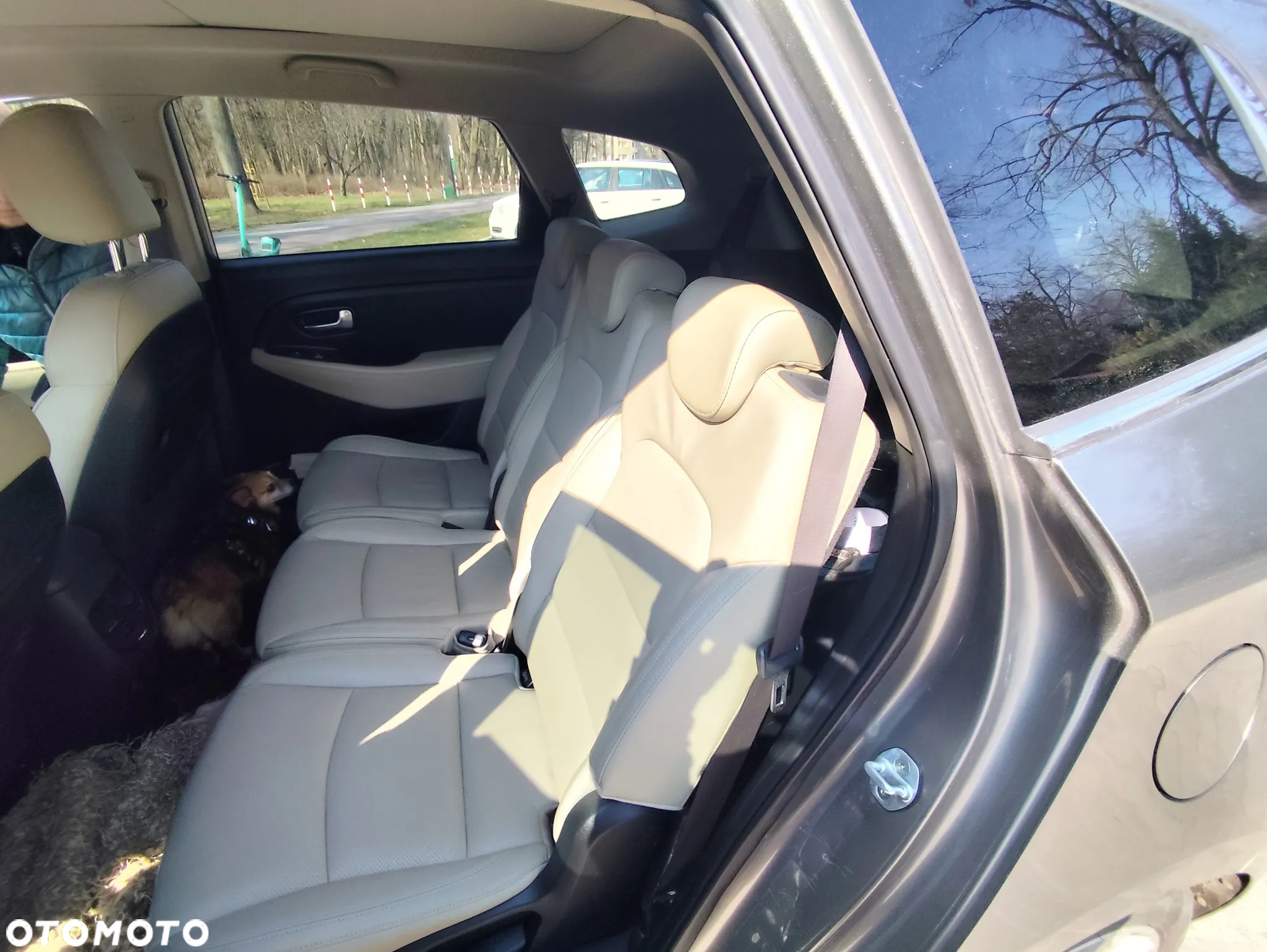 Kia Carens 1.6 GDI Business Line 7os EU6 - 2