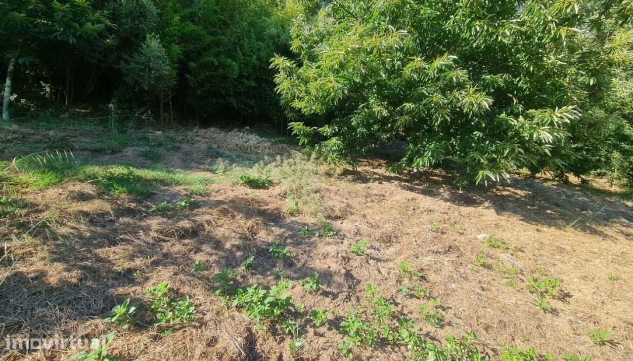Venda Terreno, Santa Marinha do Zêzere, Baião - Grande imagem: 4/30