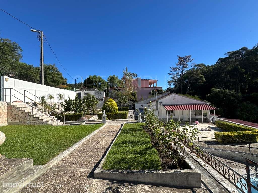 Quintinha - Vale de Lobos - Grande imagem: 4/60