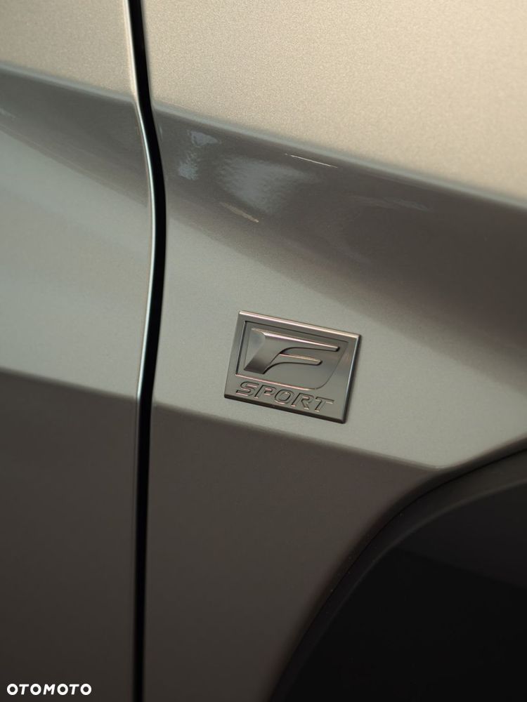 Lexus UX 300h F Sport Design - 11