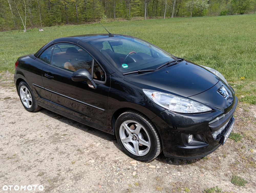 Peugeot 207 - 11