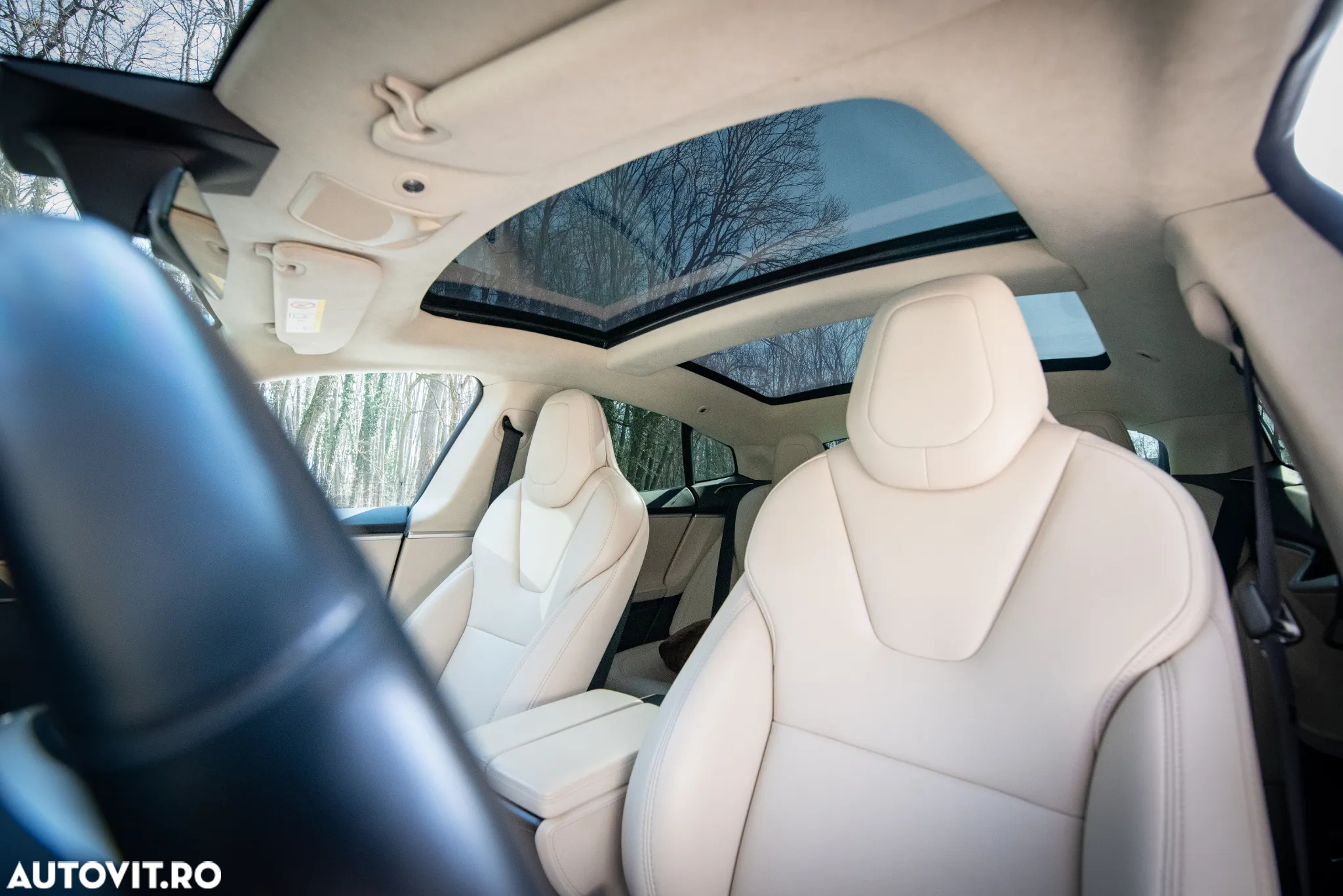 Tesla Model S Performance - 17