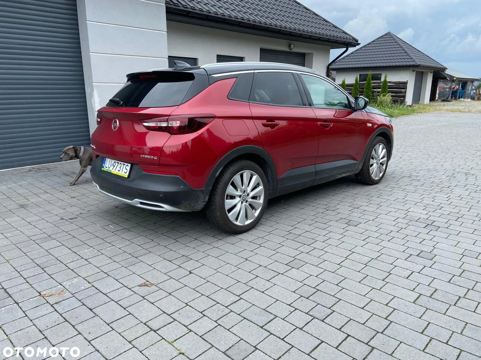 Opel Grandland X Plug-in-Hybrid4 1.6 DI Start/Stop Ultimate - 5