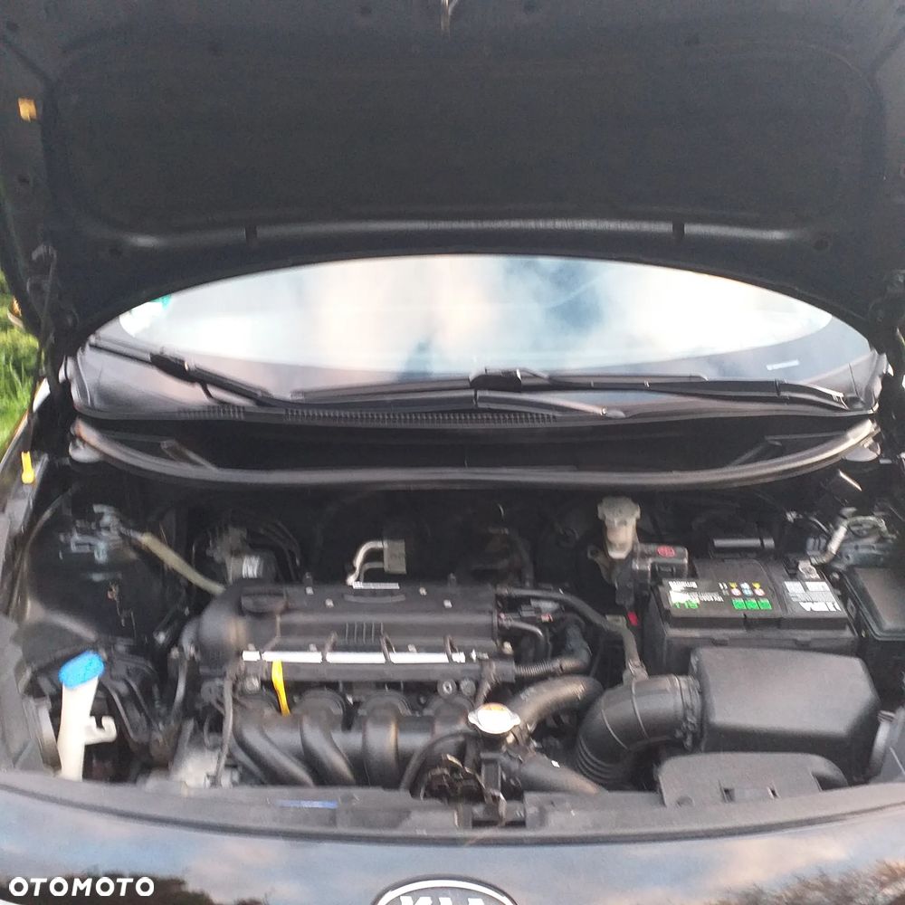 Kia Rio - 22