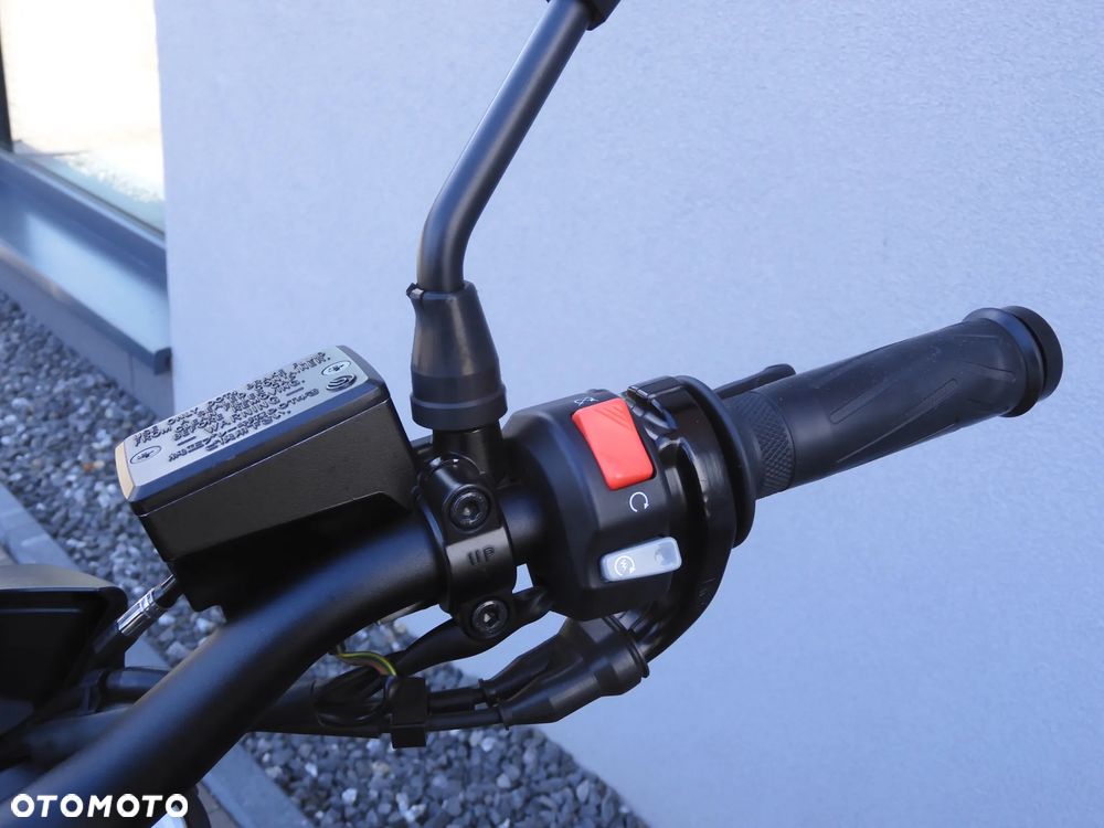 Yamaha FZ8 - 31