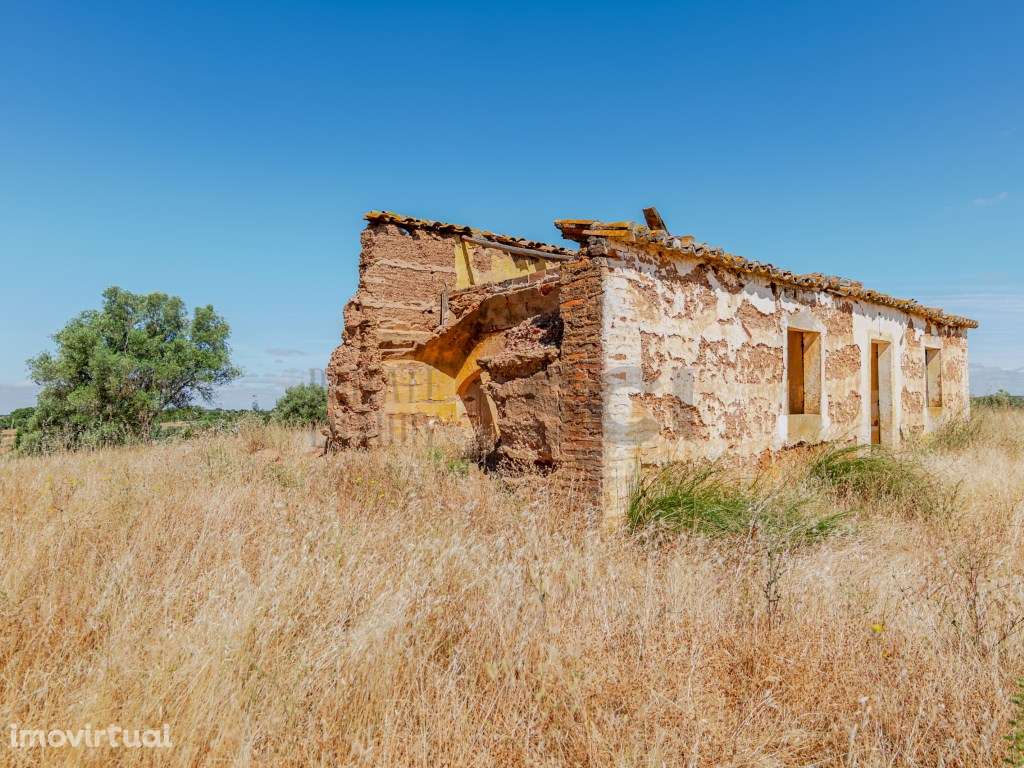 Pequena Quinta com Ruína para Recuperar em Vila Nova de São Bento - Grande imagem: 3/28