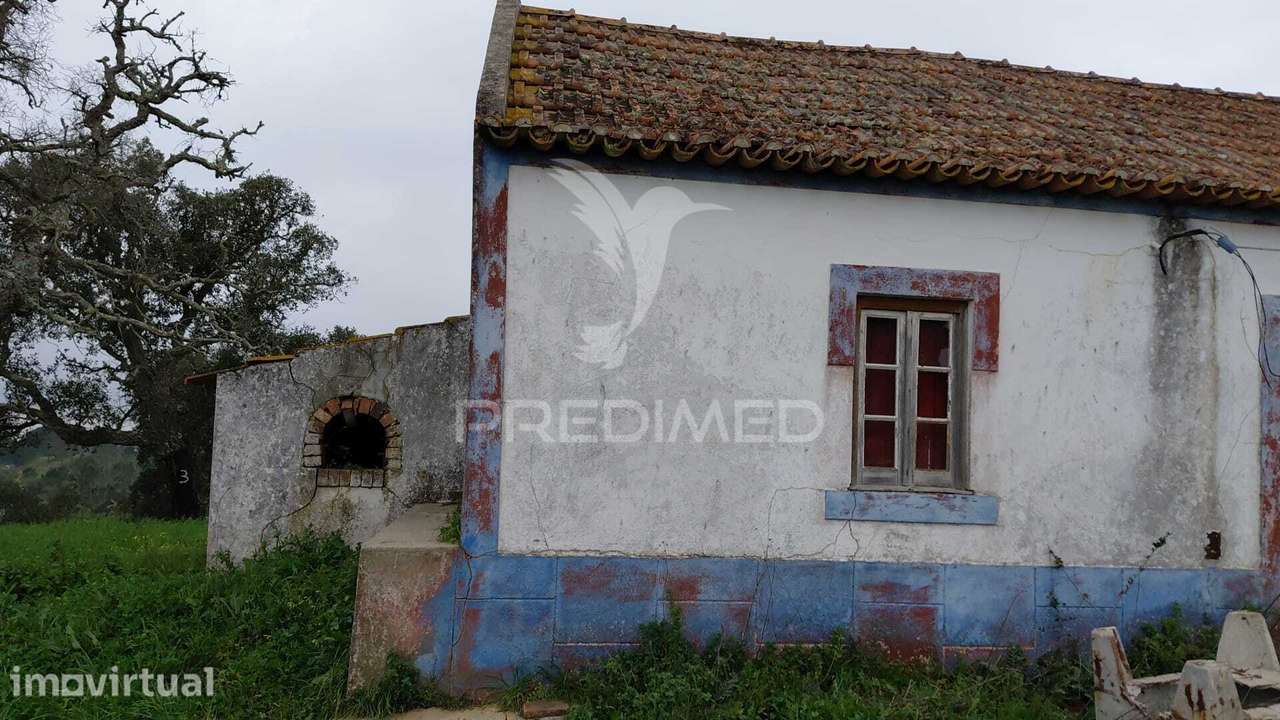 Monte Alentejano com 5,6 hc,São Francisco Serra, Santiago do Cacém. - Grande imagem: 3/30