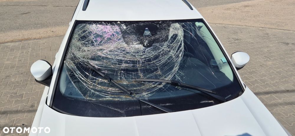 Skoda Octavia 2.0 TDI 4x4 Ambition DSG - 10