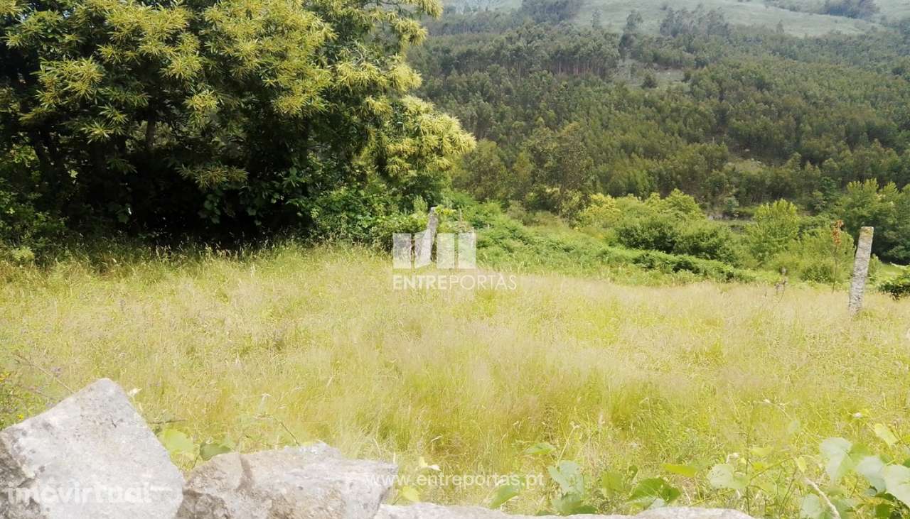 Venda Terreno, Santiago de Piães, Cinfães - Grande imagem: 2/40