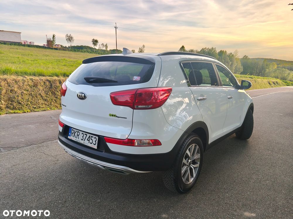 Kia Sportage - 1