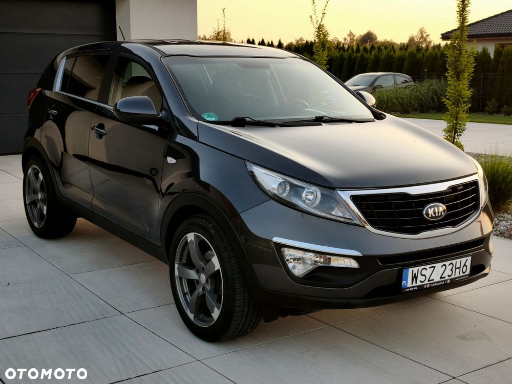 Kia Sportage - 23