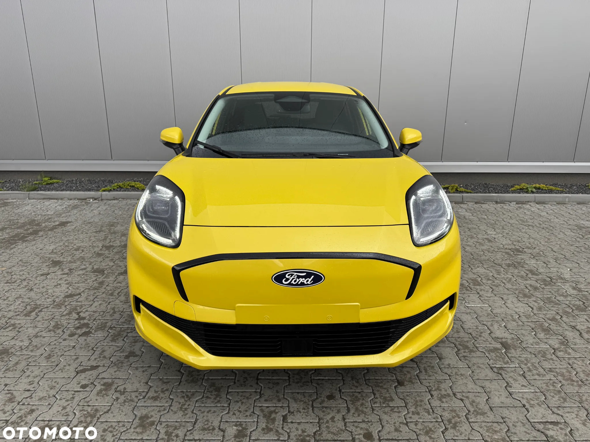 Ford Puma 43.6 kWh - 2