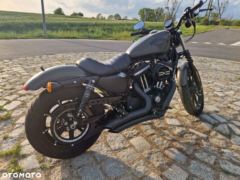 Harley-Davidson Sportster Iron 883 - 6