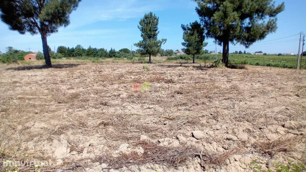 Terreno com 9750 m2 com autorização para 500 m2 de construção em Palme - Grande imagem: 4/9