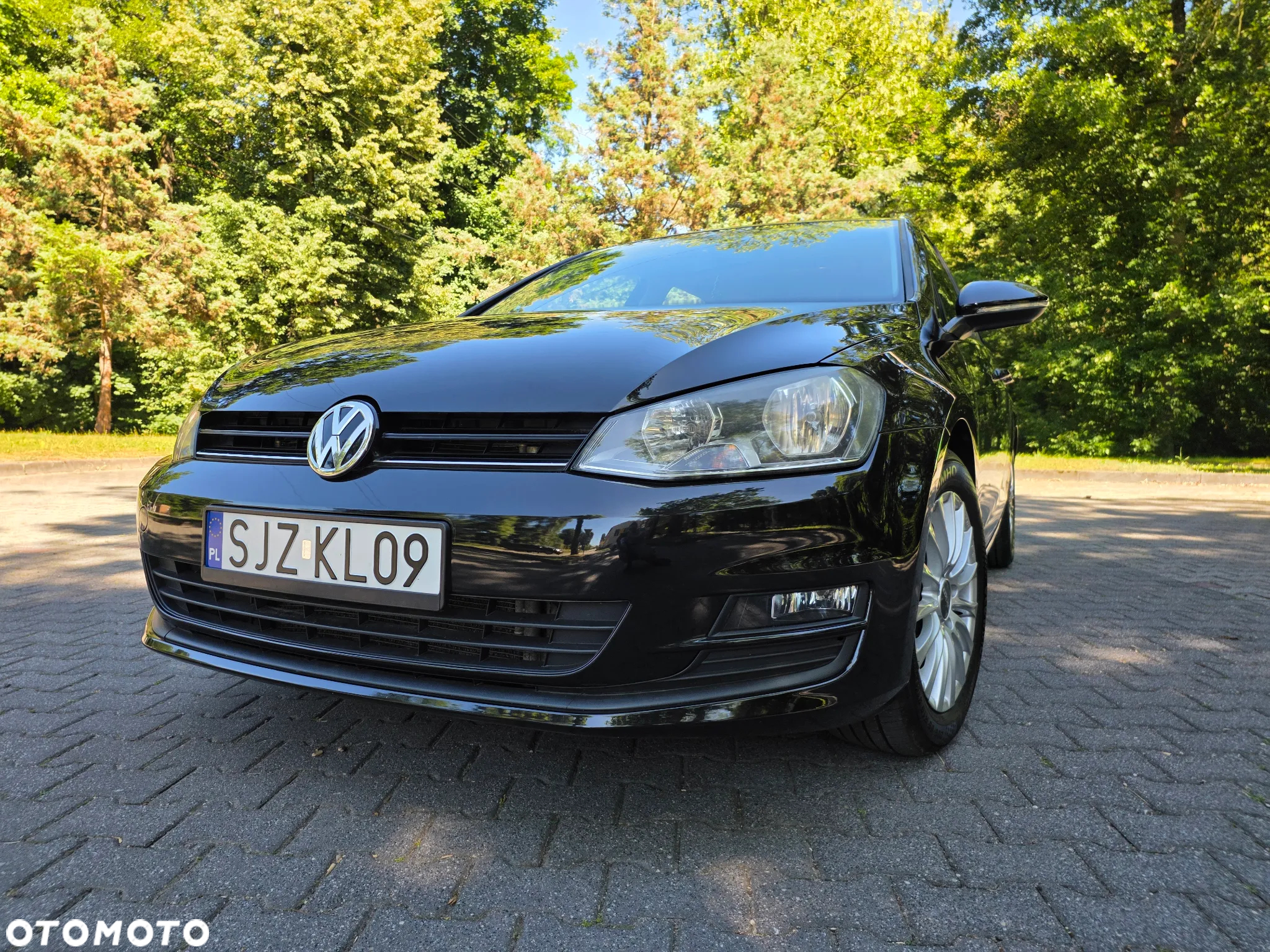 Volkswagen Golf Alltrack 1.8 TSI 4Motion BlueMotion Techn DSG - 18