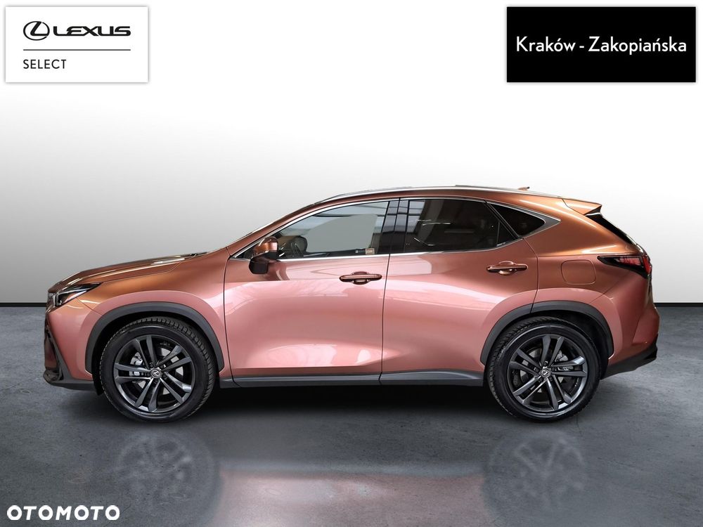 Lexus NX - 3