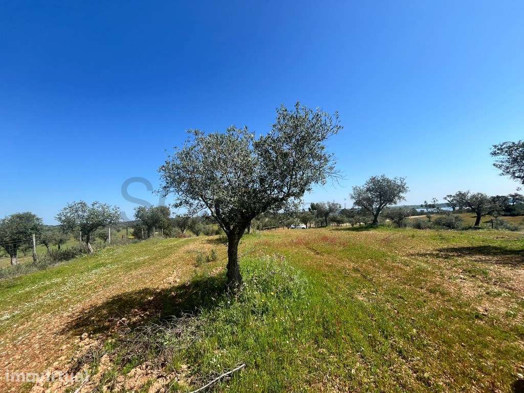 Terreno Rustico Alqueva - Grande imagem: 5/20