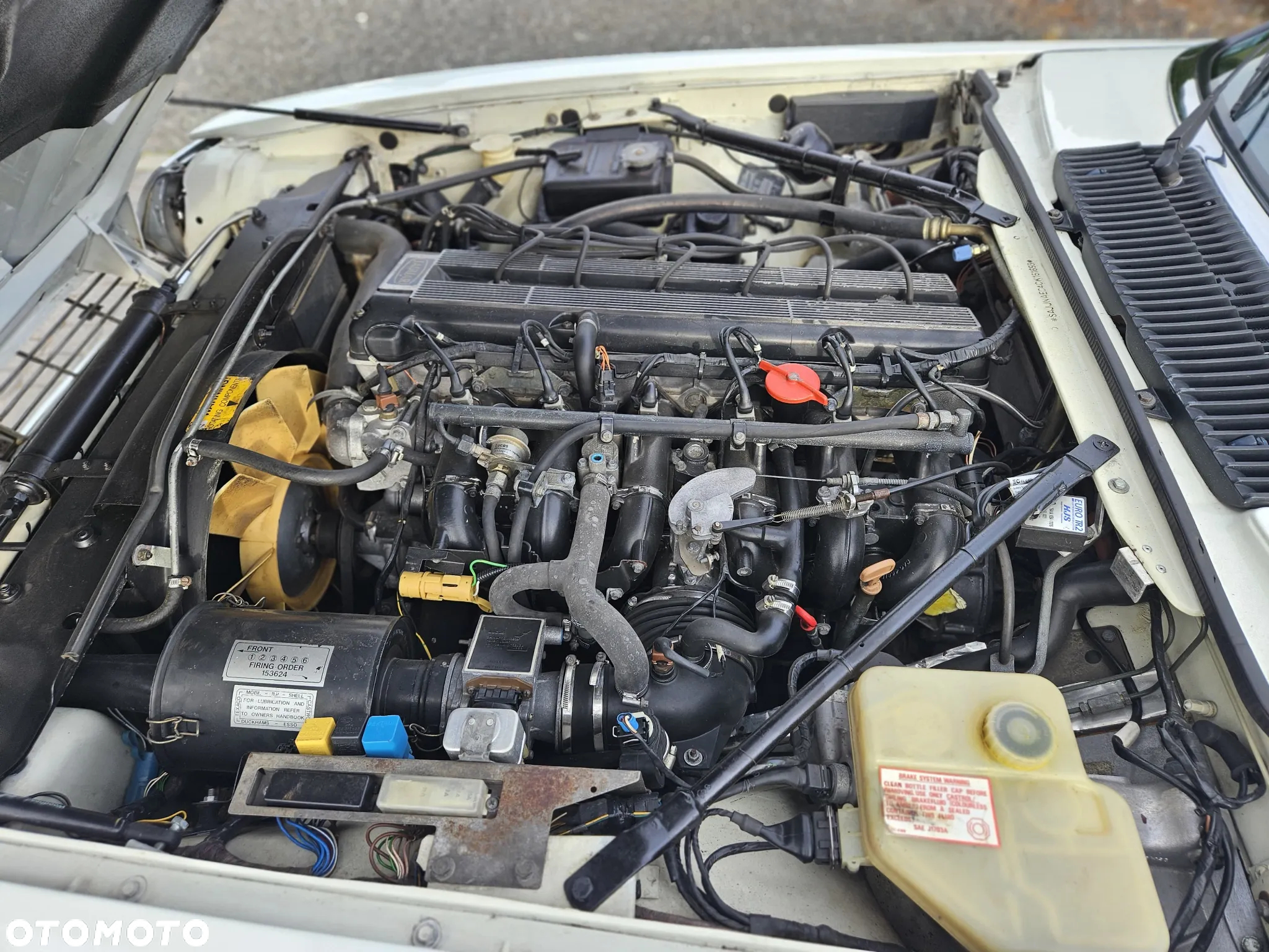 Jaguar XJS 3.6 - 7