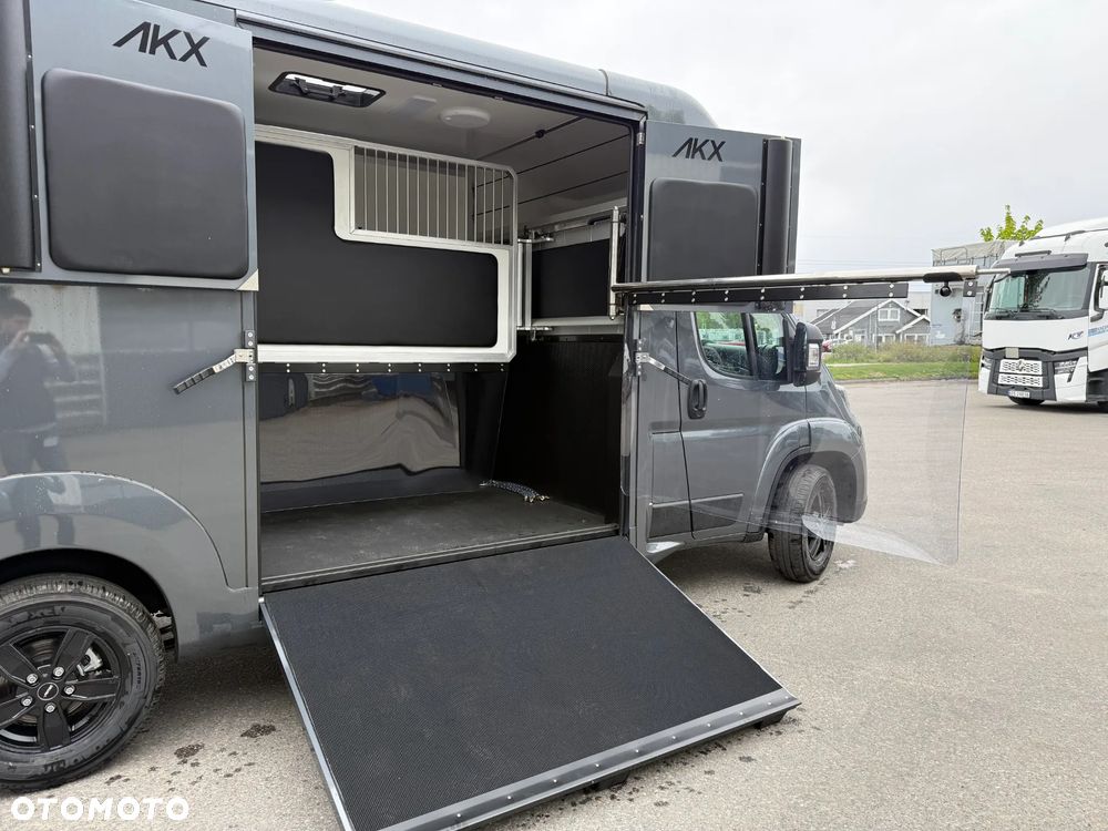Opel Movano AKX Koniowóz 4250kg C1, 1500 kg ładowności! - 11