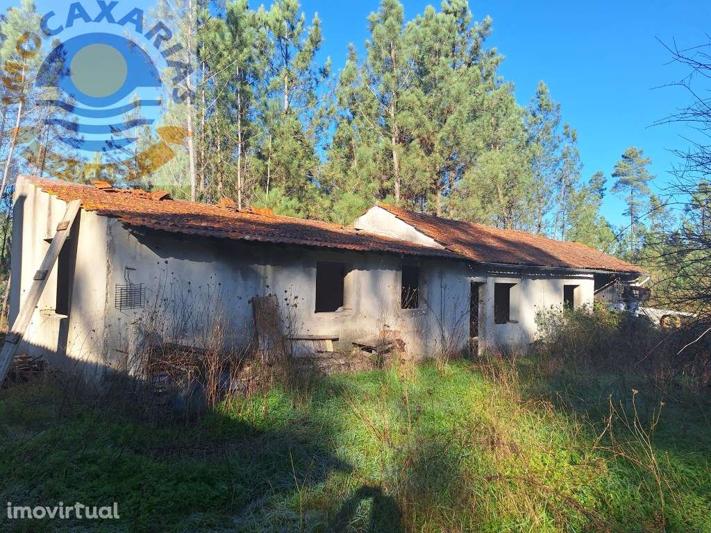 Moradia T3- Rio de Couros - Grande imagem: 4/27